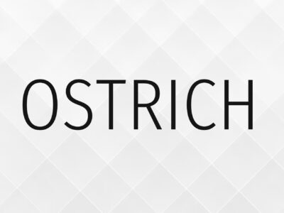 ostrich sans font preview
